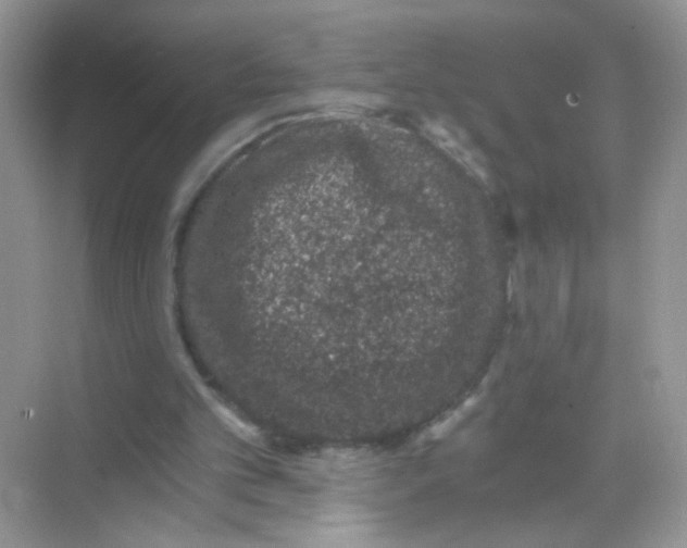 X0000068280101200605121922