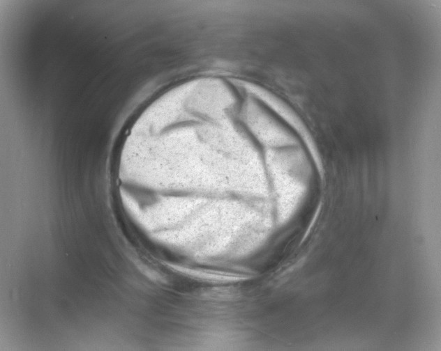 X0000068280102200605121922