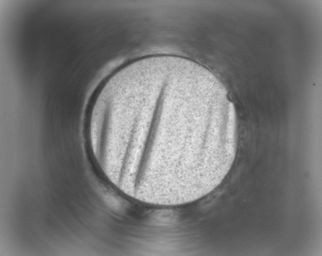 X0000068280104200605121922