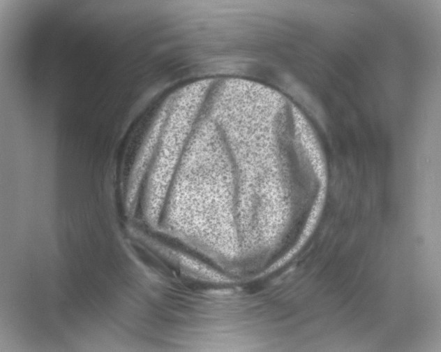 X0000068280107200605121922