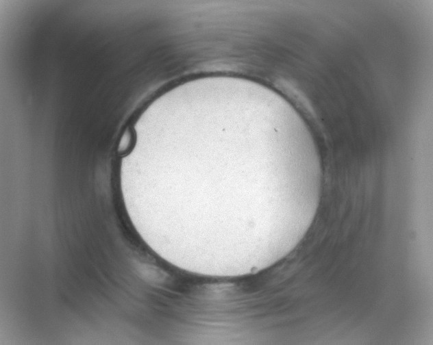 X0000068280108200605121922