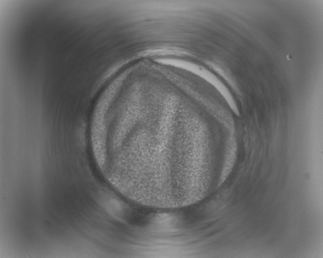 X0000068280111200605121922