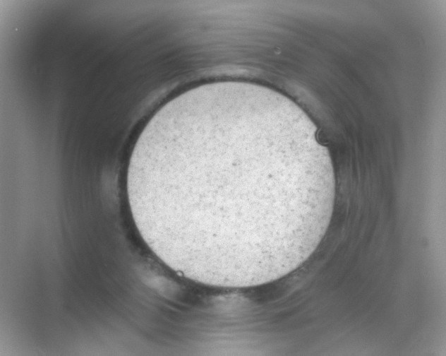 X0000068280112200605121922