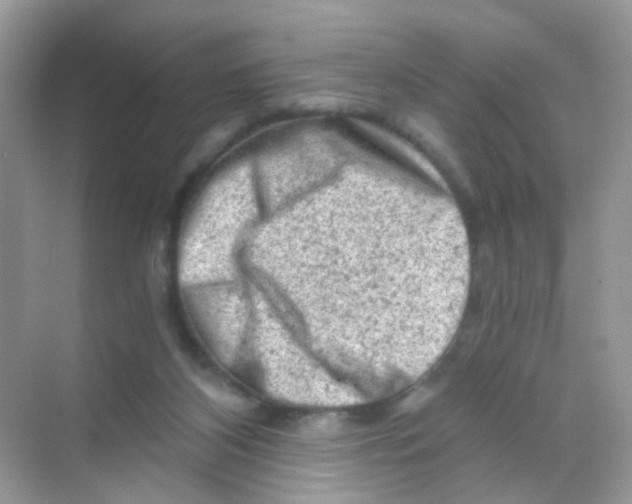 X0000068280116200605121922