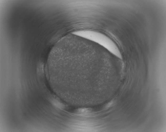 X0000068280117200605121922