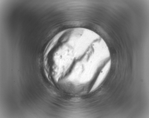 X0000068280119200605121922