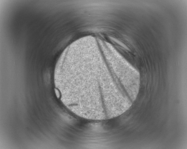 X0000068280120200605121922