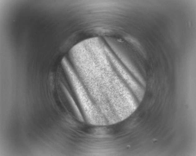 X0000068280121200605121922