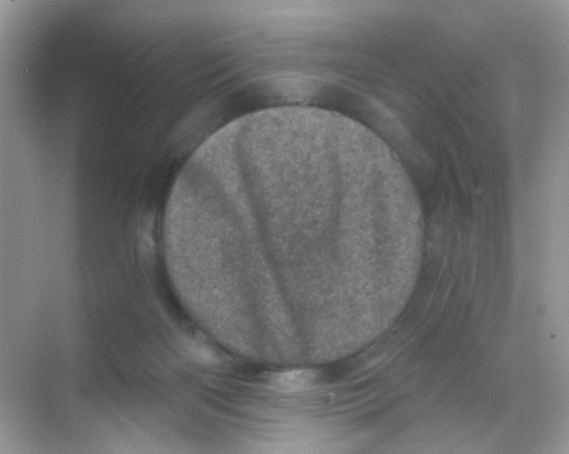 X0000068280122200605121922