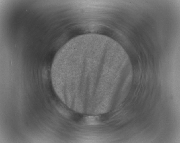 X0000068280126200605121922