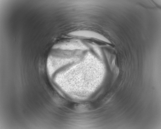 X0000068280129200605121922