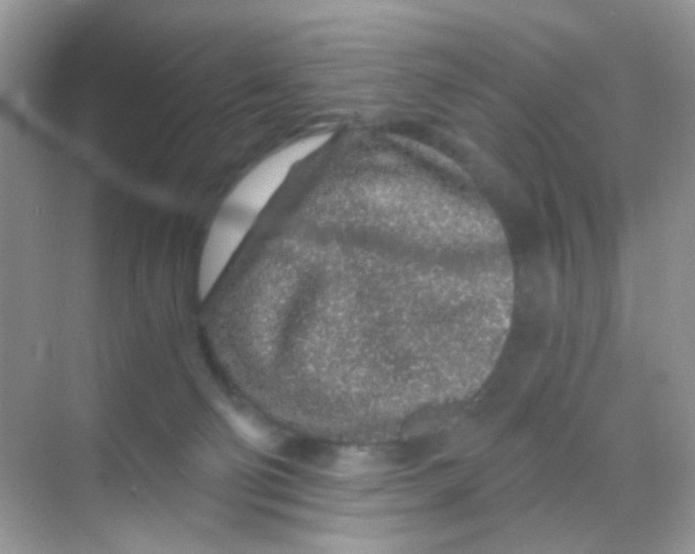 X0000068280130200605121922