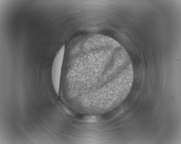 X0000068280131200605121922