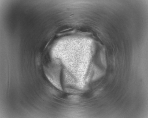 X0000068280133200605121922