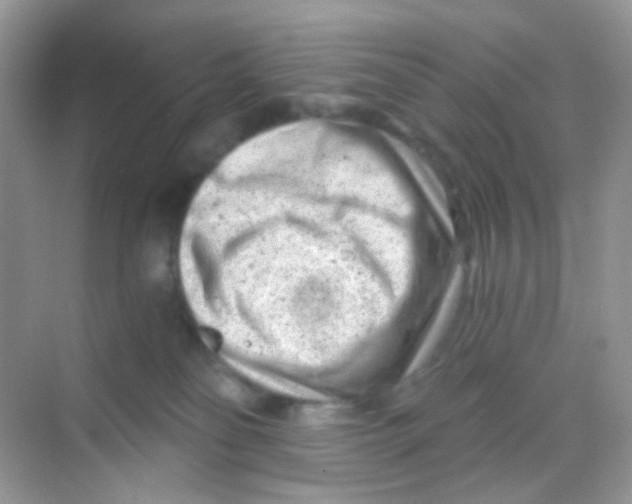 X0000068280134200605121922