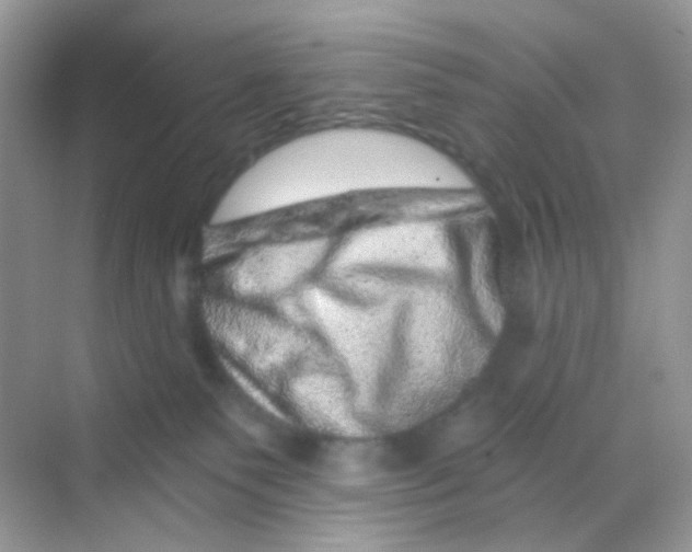 X0000068280135200605121922