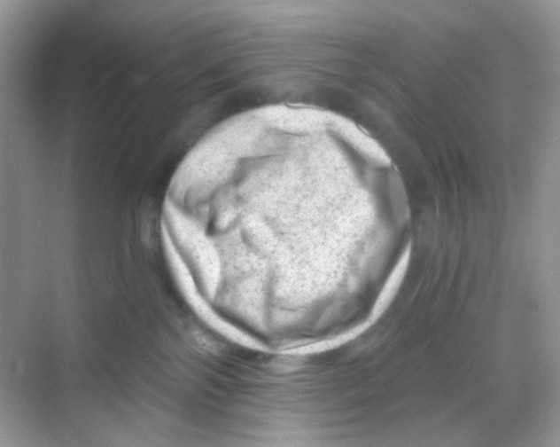 X0000068280138200605121922