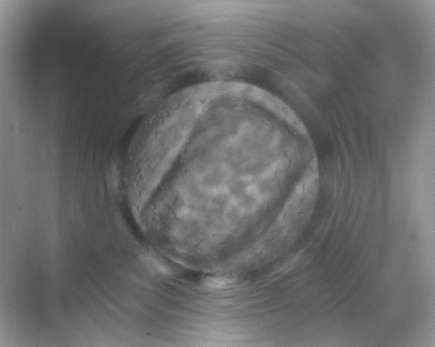 X0000068280139200605121922