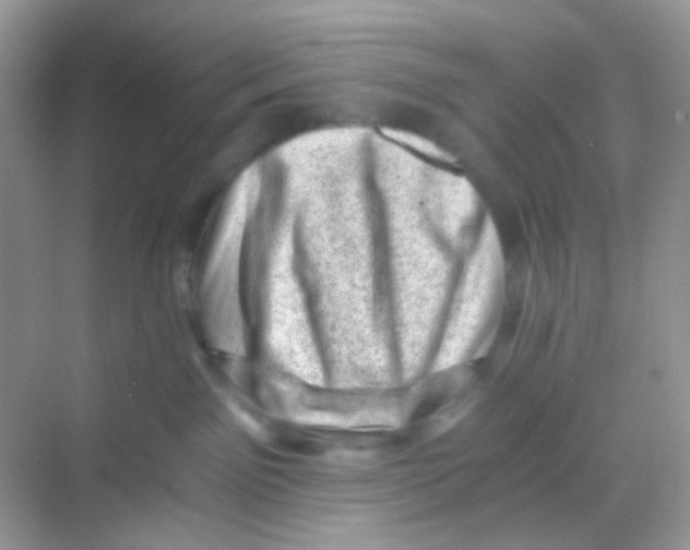 X0000068280141200605121922