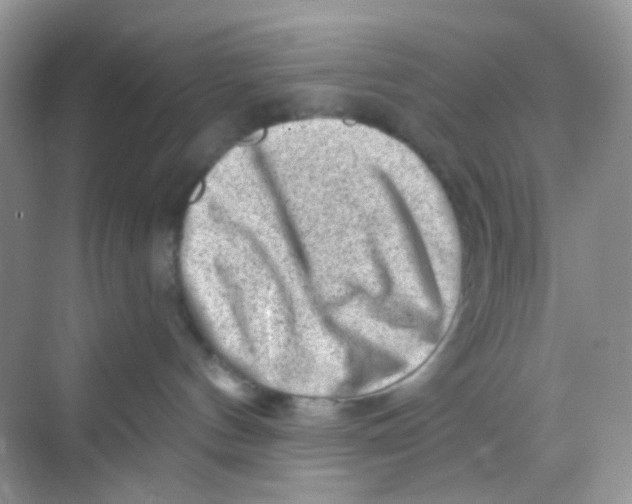 X0000068280144200605121922