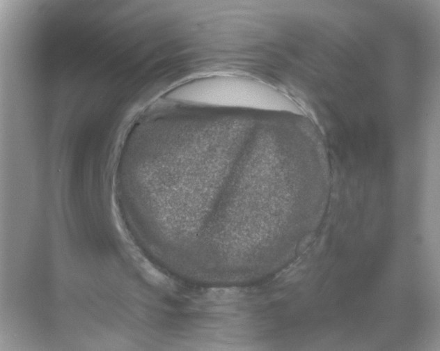 X0000068280145200605121921