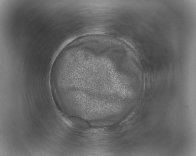 X0000068280147200605121921