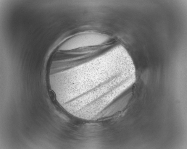 X0000068280150200605121921