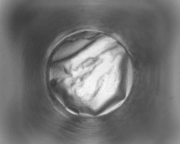 X0000068280151200605121921