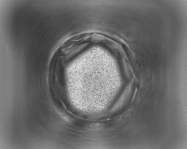 X0000068280152200605121921