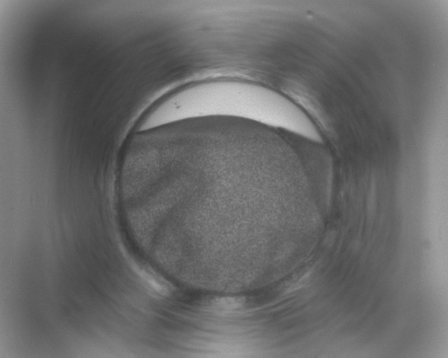 X0000068280156200605121921