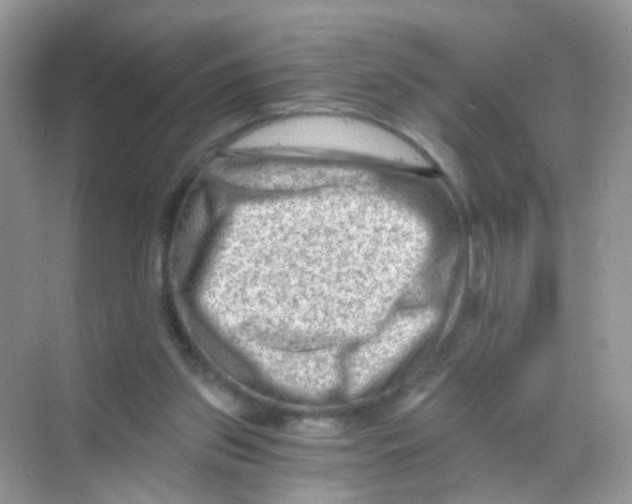 X0000068280157200605121921