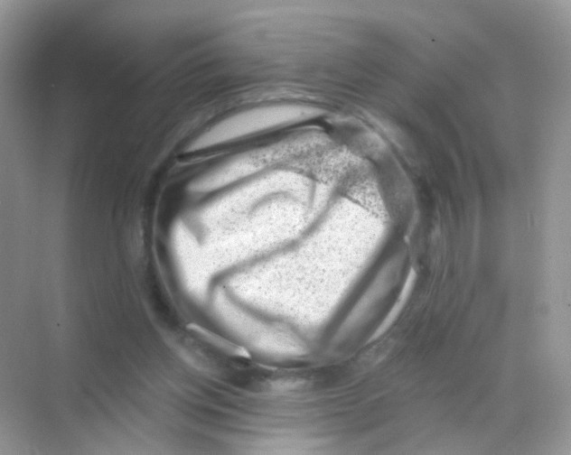 X0000068280158200605121921