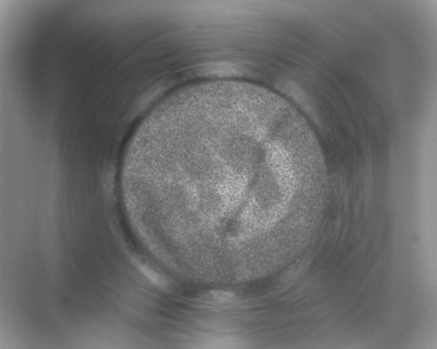 X0000068280159200605121921