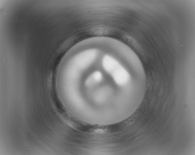 X0000068280163200605121921