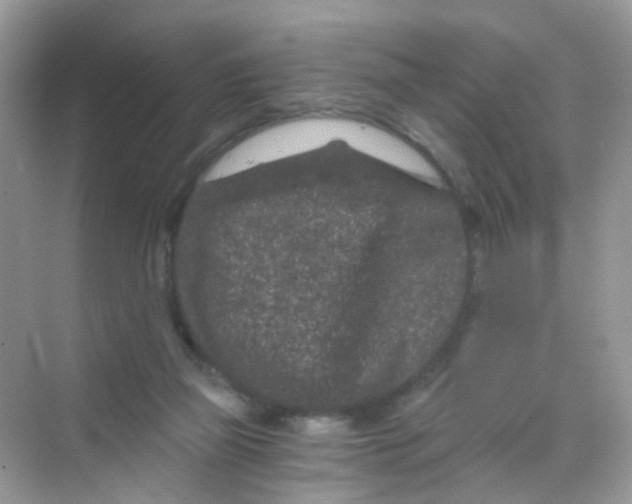 X0000068280165200605121921