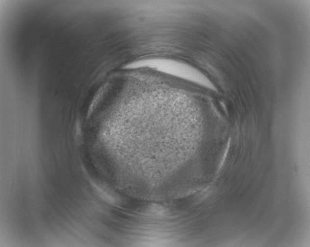 X0000068280166200605121921