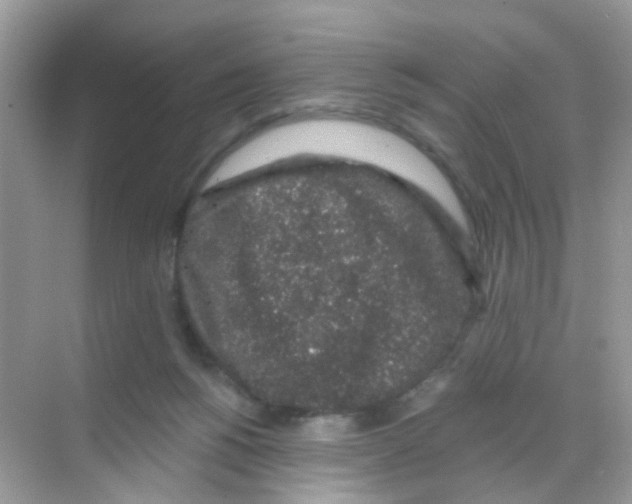 X0000068280168200605121921