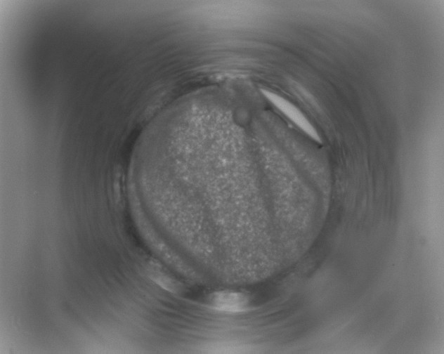 X0000068280169200605121921