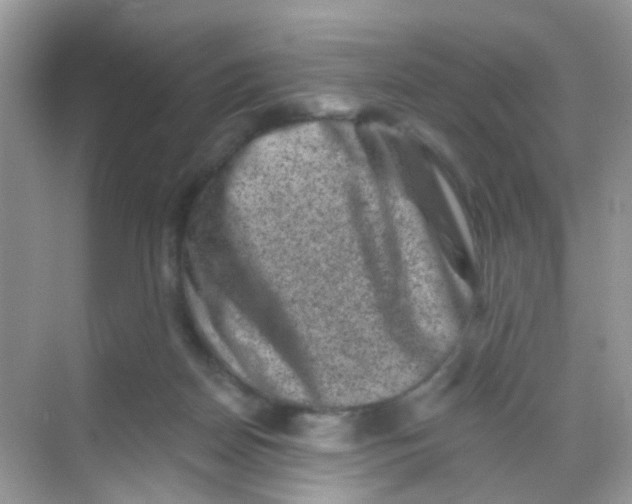 X0000068280170200605121921