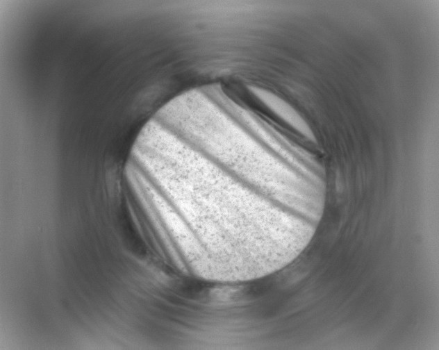 X0000068280172200605121921