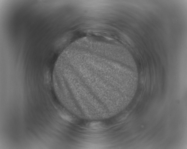 X0000068280173200605121921