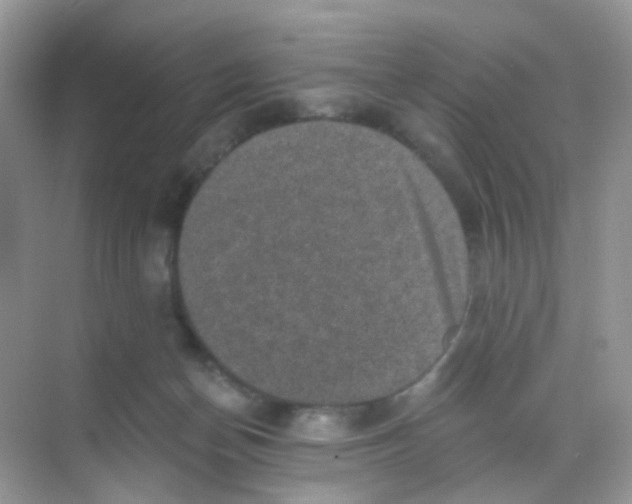 X0000068280174200605121921