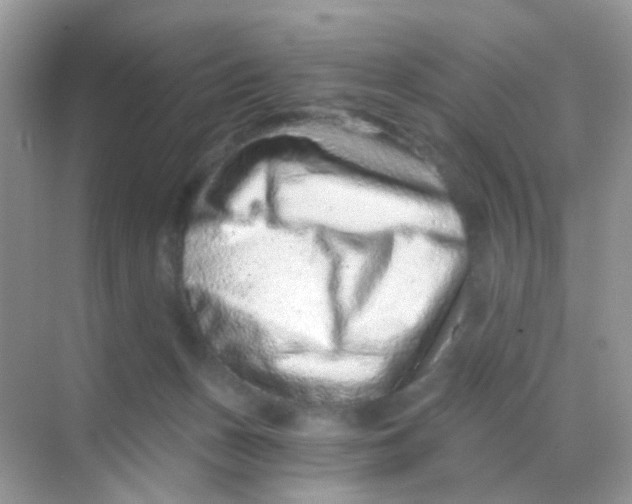 X0000068280175200605121921