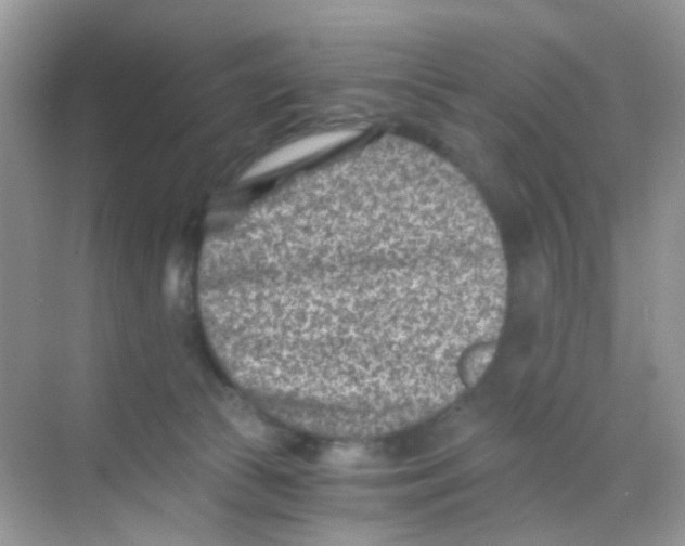 X0000068280177200605121921