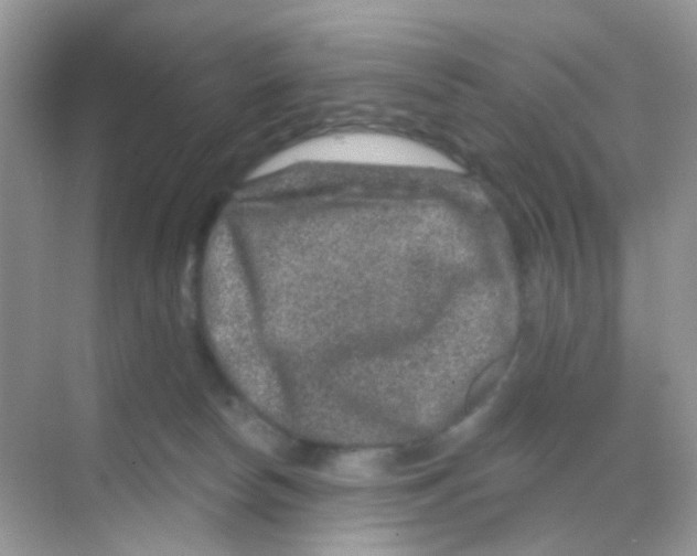 X0000068280178200605121921