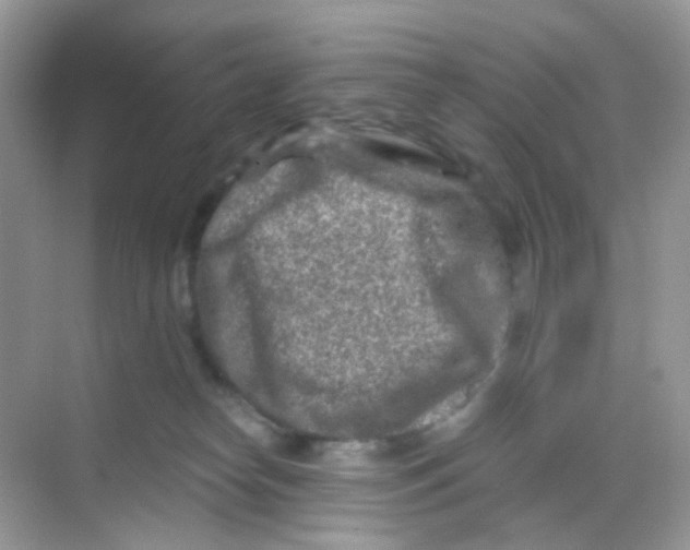 X0000068280182200605121921