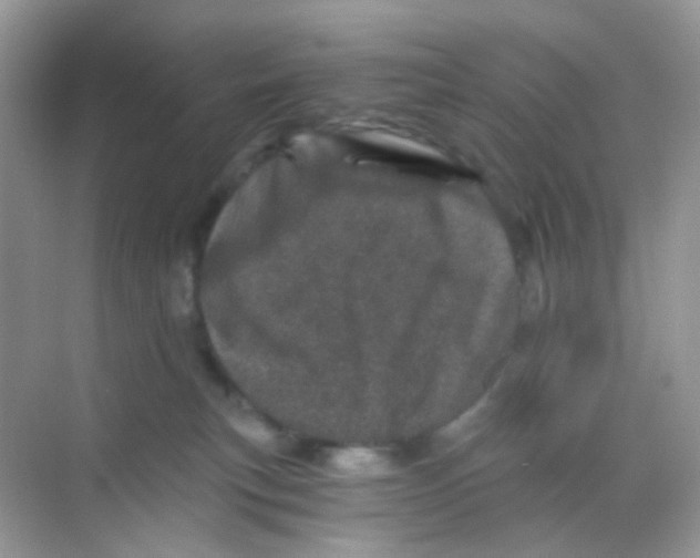 X0000068280183200605121921