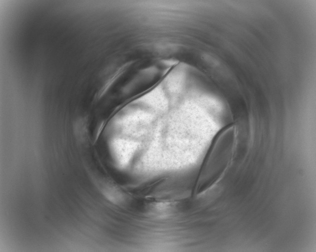 X0000068280184200605121921