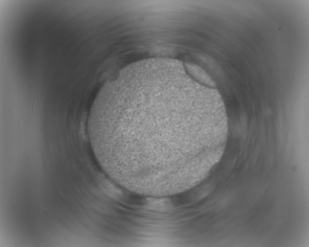 X0000068280185200605121921