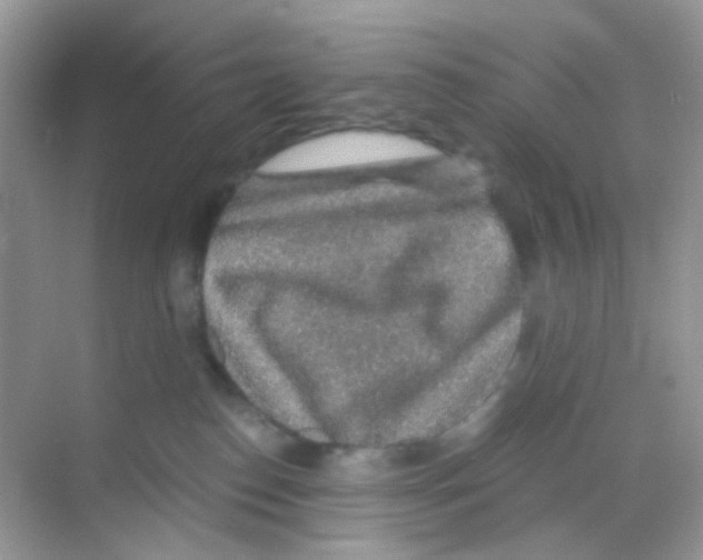 X0000068280186200605121921